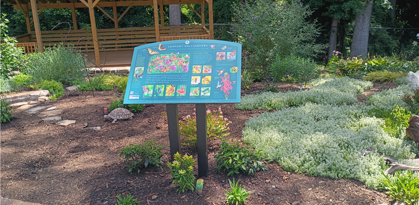 Walk Through New Signs at Arboretum in Tanglewood Park