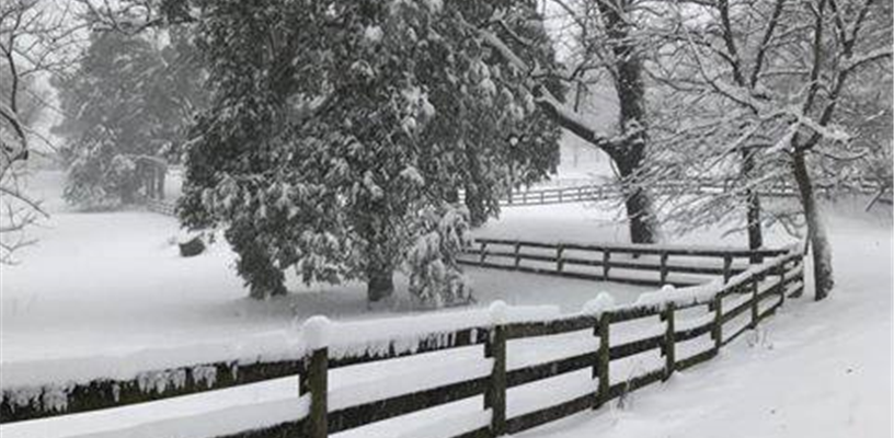 Forsyth County facilities open normal hours, parks remain closed  